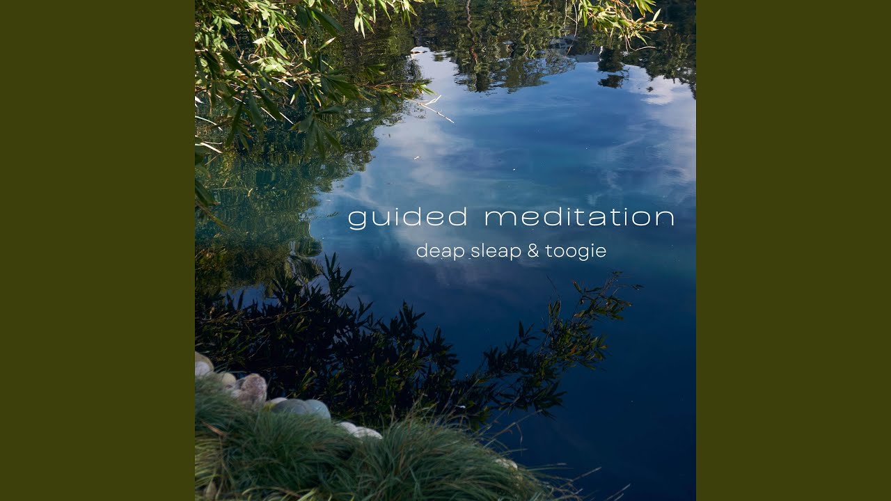 5 Minute Reset Meditation - YouTube