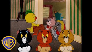 Tom Et Jerry En Français 🇫🇷 | Les Petits Animaux Mignons! 🐣🐱🐶 |  @Wbkidsfrancais​