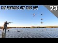 There Were Pintails Everywhere.. | Texas Public Land Duck Hunting