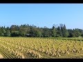 ヴィヴァルディが見た日本の四季 《秋》村祭り 月いち合唱団