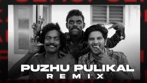 Puzhu Pulikal Remix | Kammatipaadam | Dulquer Salmaan, Rajeev Ravi | RONAQ