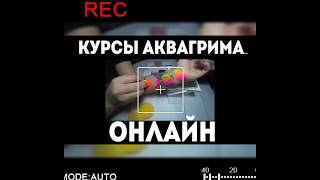 КУРСЫ АКВАГРИМА ОНЛАЙН для начинающих или профессионалов КУРСЫ АКВАГРИМА ОНЛАЙН для начинающих или профессионалов