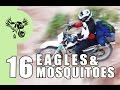 Rubberside Down -- 16 -- Eagles and Mosquitos