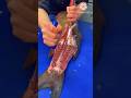 Fish Scinning and Cutting Show l 🐟 l #shorts #viralshorts #fishcutting  #fishscinning