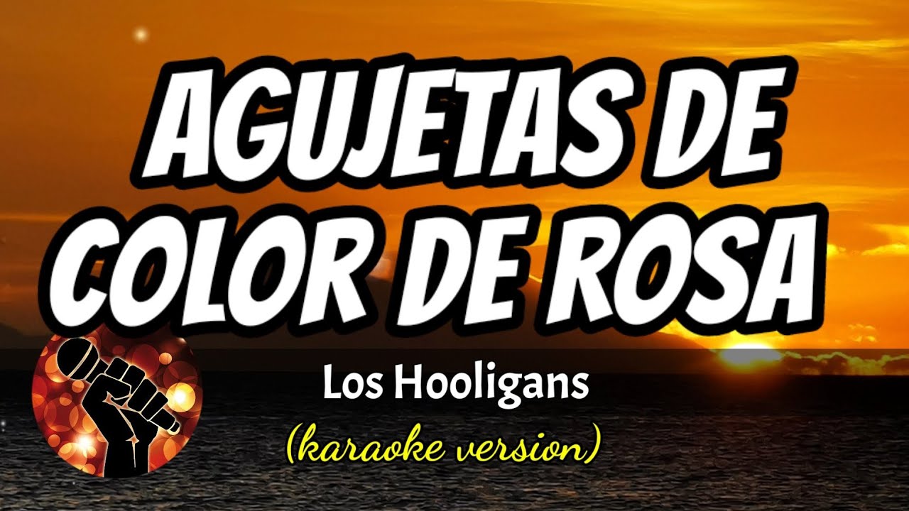 AGUJETAS DE COLOR DE ROSA - LOS HOOLIGANS (karaoke version)