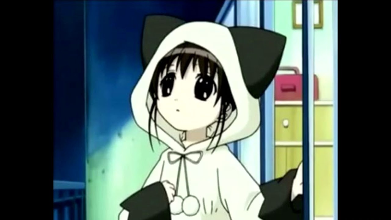 nosgov + senses + sg lily type beat