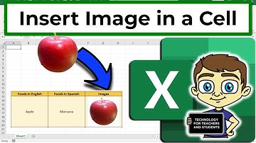 How to Put Pictures Inside Excel Cells Super Easy!
