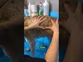 Ох сколько вычесали шерсти🔥#акита #viral #fyp #dog #собака #животные #grooming #pet