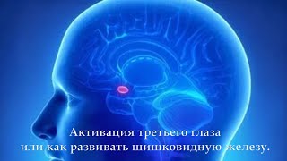 Активация третьего глаза или как развивать шишковидную железу.