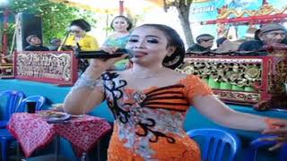 Download Lagu Nonstop Tardi Laras Cokek Mania MP3 Nonstop Tardi Laras Cokek Mania
