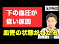 【原因と要注意な症状】下の血圧が低い時に考えられる病気とは？動脈硬化が進んでる？現役医師が詳細解説