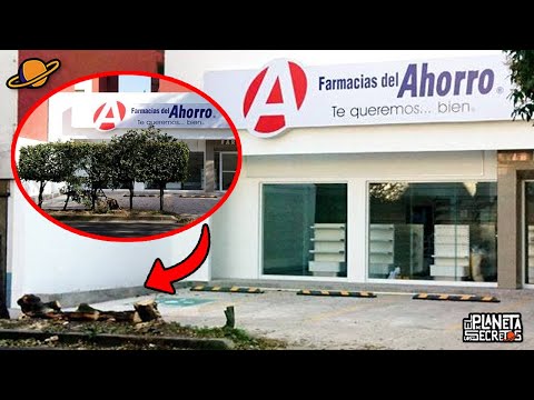 Los SECRETOS De FARMACIAS Del AHORRO