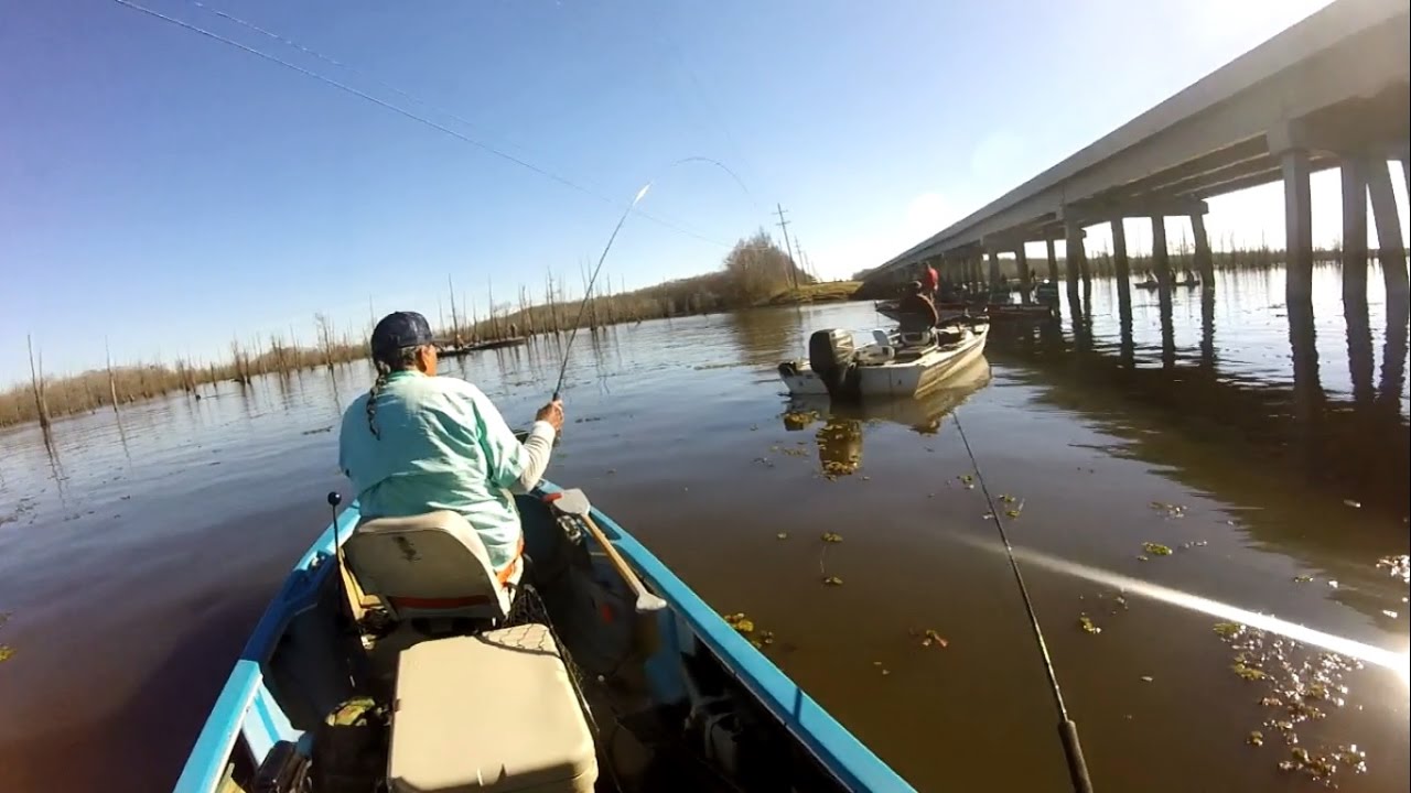Crappie Fishing a Packed Lake! YouTube