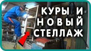 🔴 Как поживают мои куры? 🧩 Сделал новый стеллаж в мастерской. Моя жизнь в деревне ❄️