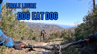 MONTE CARMO | trail DOG EAT DOG