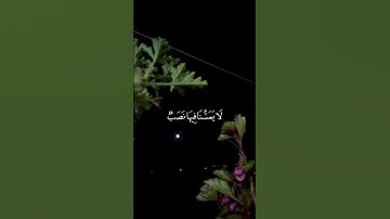 إِنَّ رَبَّنَا لَغَفُورٌ شَكُور🤍آيات عطرة من سورة فاطر بصوت القارىء الشيخ الحصري #قرآن #duet #لايك