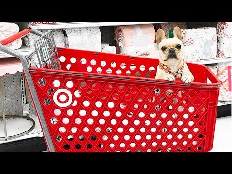 What stores are pet friendly?