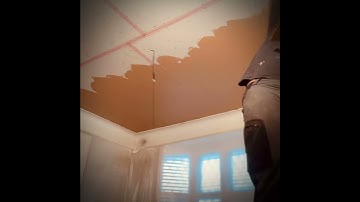 Plastering a ceiling Timelapse