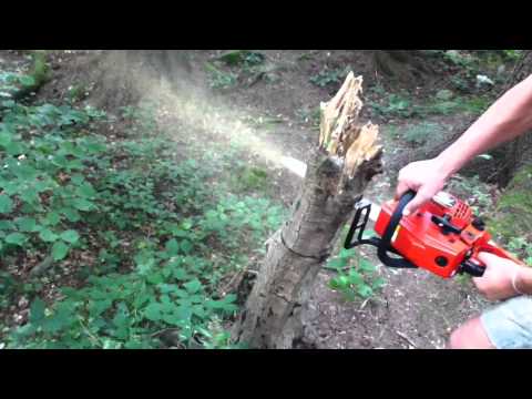 Обзор бензопилы Hitachi CS40EL Обзор бензопилы Hitachi CS40EL