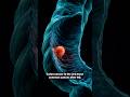 5 Colon Cancer Warning Signs Over 60 Most People Ignore For Years #science #energy