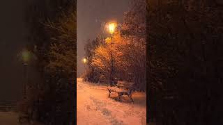 Winter Blessings 🤍 #winter #reels #cold #feel #peace #mindpeace #amazing #snowfall #love #memories