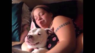 This Is White Boy A Bait Dog We Saved In April