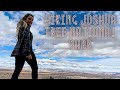 Roadtrip to Joshua Tree National Park | Hiking 49 Palms Oasis | Yurt Glamping in Desert Hot Springs