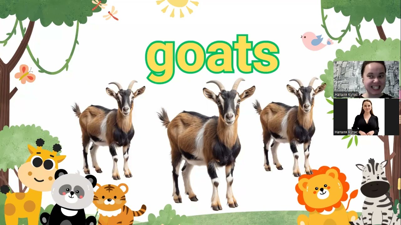 Cambridge starters animals spelling