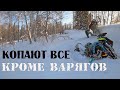 Откапываем 11 снегоходов ТАЙГА ВАРЯГ 550, Русская механика вектор 551,RM Vector 551i, Polaris,arctic