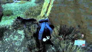 Whats wrong D-Dog? (MGS5 Spoiler Alert)