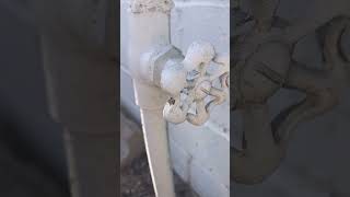 Waterline repair in Tucson part one