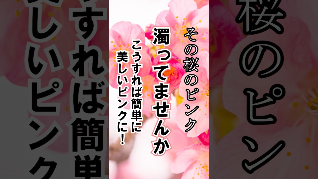 桜のピンクが濁る原因と直し方｜レタッチでここまで変わる　#桜 #レタッチ #写真編集 #lightroom #写真上達 #カメラ初心者 #フォトコンテスト