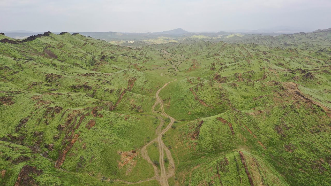 ربيع جنوب #مكة_المكرمة عام ١٤٤٤ هـ الموافق ٢٠٢٣ م #السعودية