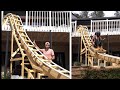 Atlanta Teen Builds Roller Coaster in Backyard