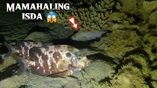 SUMILIP NA ANG MAMAHALING ISDA 😱 | EPISODE 142 | NIGHT SPEARFISHING PHILIPPINES  | Drin's Adventure