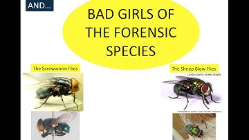 Introduction to Gene Annotation