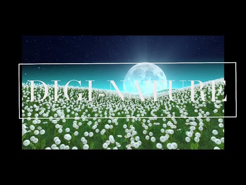 10 Minute Cyber Stroll Ambiance for Deep Thinking and Decompression