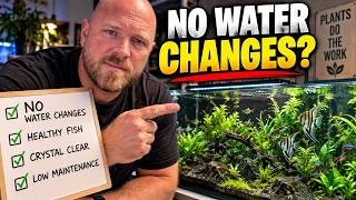 No Water Changes What Every Beginner Should Know