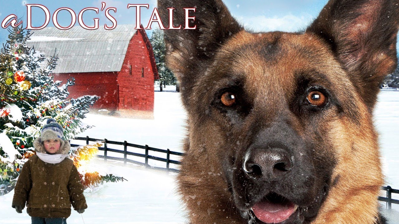 A Dog's Tale 2000 Christmas Film | A Christmas Tale | Clayton Taylor, Casey the Dog | Review