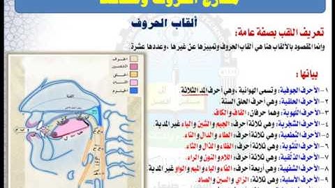 الوحدة الخامسة (القاب الحروف) - مقرر مهارات تلاوة القرآن الكريم