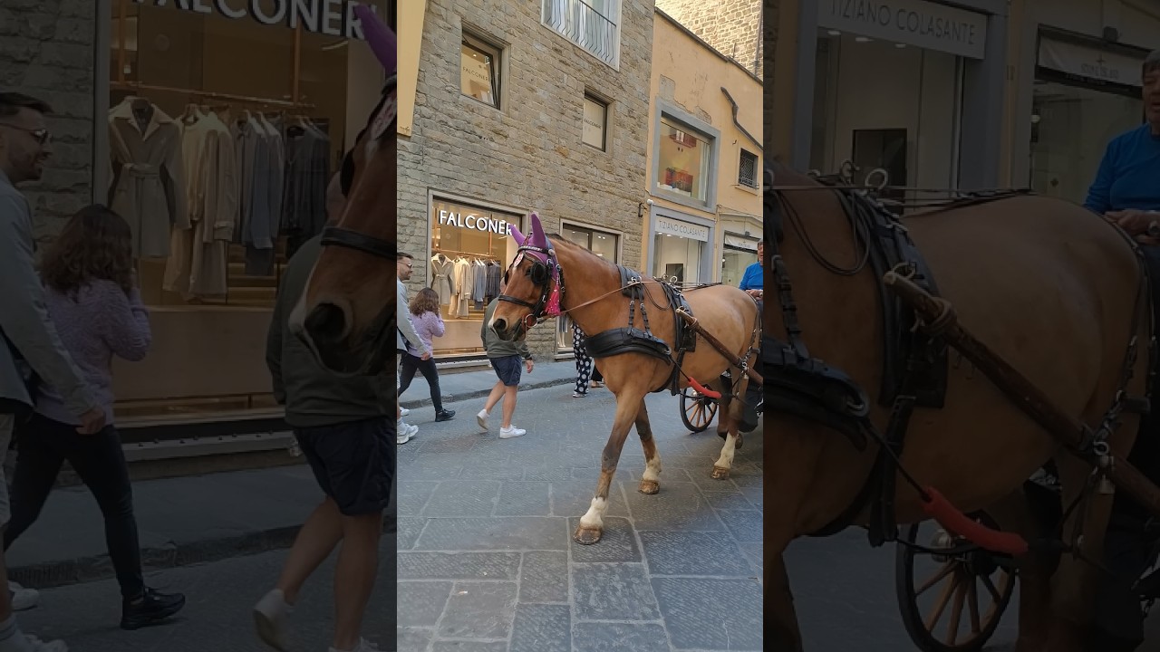 Piazza della Signoria 