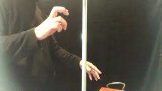' The Salley Gardens ' on Theremin screenshot 2