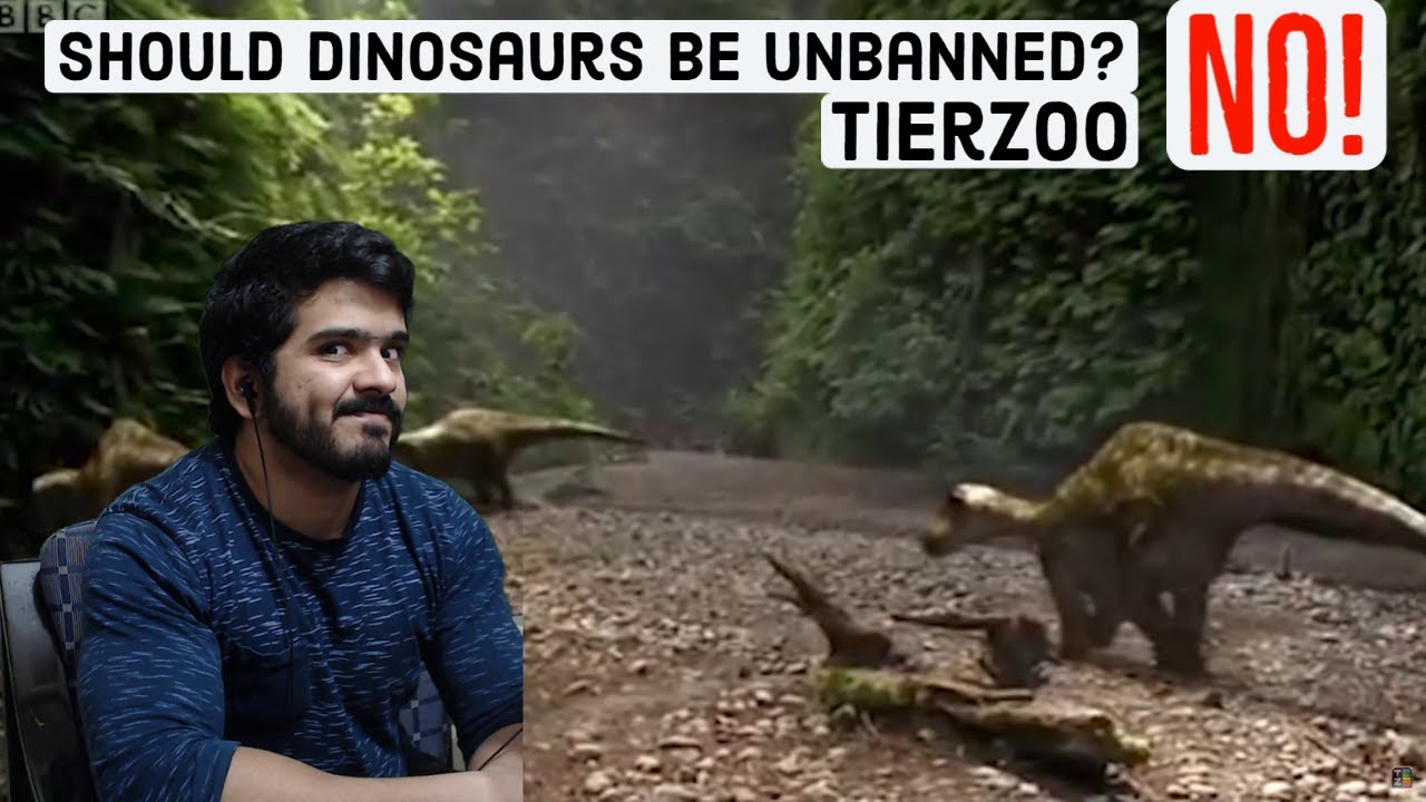 Should Dinosaurs be Unbanned? (Feat. Casually Explained) (TierZoo) CG Reaction