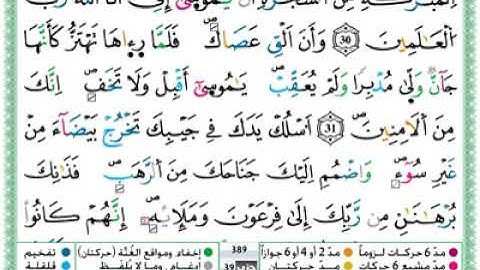 تلاوة عطرة لسورة القصص مكتوبة برواية ورش عن نافع للشيخ حمزة الجزائر