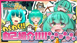 「わくわく！自己紹介！(ΦωΦ)【ねここみぃ/新人Vtuber】」のサムネイル