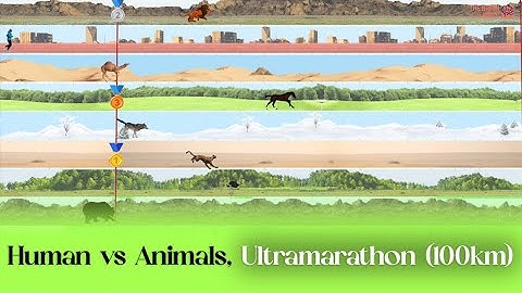 Human vs Animals Ultramarathon (100km)