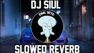 DJ SIUL (SLOWED   REVERB )