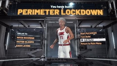 BEST SpeedBoosting Perimiter Lockdown Build With Slashing Takeover |Nba 2k20