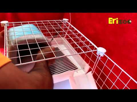 ¿Cómo instalar la placa térmica para mi erizo? | Erizoo Tips