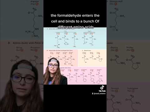 How formaldehyde works